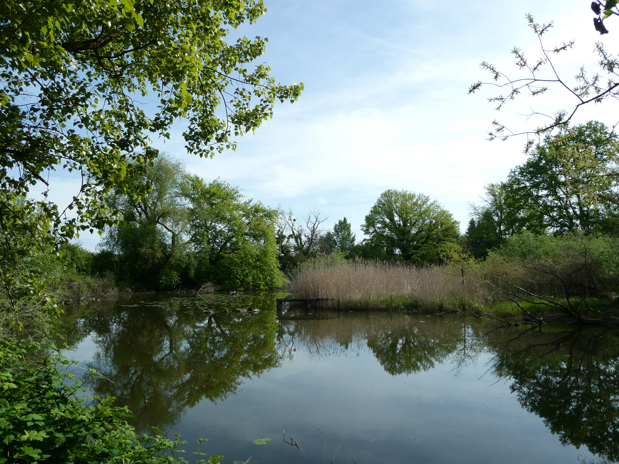 20230507093606 P1000223